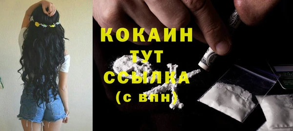прущие грибы Снежинск